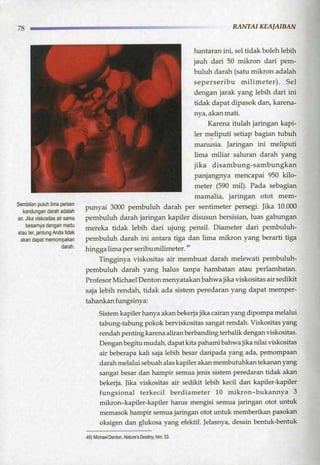 HARUN YAHYA : RANTAI KEAJAIBAN