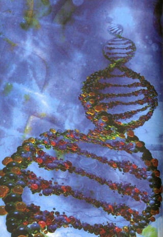 HARUN YAHYA : RANTAI KEAJAIBAN