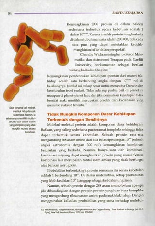 HARUN YAHYA : RANTAI KEAJAIBAN