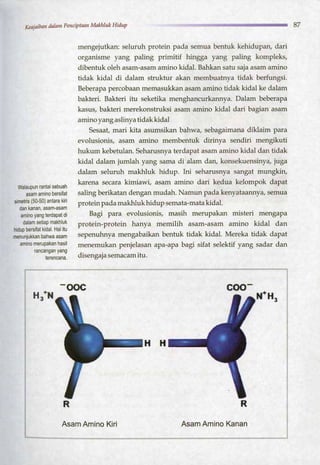 HARUN YAHYA : RANTAI KEAJAIBAN