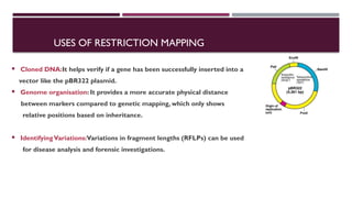Restriction enzyme and mapping their mechanism types application | PPTX