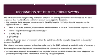 Restriction enzyme and mapping their mechanism of action application | PPTX