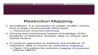 Restriction enzyme and mapping their mechanism of action application | PPTX