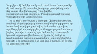 Կար-չկար մի ծակ կատու կար: Էս ծակ կատուն ապրում էր
մի ծակ տանը: Մի անգամ աշնանը այս կատվի ծակ տան
մեջ անձրև եկավ և նա գնաց Կատվաշենի
քաղաքապետարան բողոքելու: Բայց քաղաքապետարանը
չնորոգեց կատվի տունը և ասաց.
- Դու ես ծակել տունը, դու էլ նորոգիր: Չխաղայիր գնդակով,
որպեսզի գնդակը չդիպչեր առաստաղին և չծակեր քո տունը:
Կատուն տխուր վերադարձավ իր ծակ տունը և քանի-որ
արդեն գիշեր էր՝ պառկեց քնելու: Բայց քաղաքապետարանը
խղճաց կատվին և նորոգեց նրա ծակ տունը:Առավոտյան
կատուն արթնացավ և տեսավ, որ իր տունը ծակ չէ ու
հասկացավ, որ քաղաքապետարանի աշխատակիցներն են
նորոգել և որ աշխարհում դեռ կան բարի մարդիկ, որ օգնում
են կարիքավորներին:
 