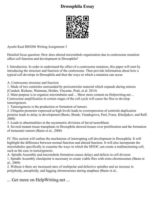 Drosophila Essay
Ayushi Kaul BIO206 Writing Assignment 3
Detailed focus question: How does altered microtubule organization due to centrosome mutation
affect cell function and development in Drosophila?
I. Introduction. In order to understand the effect of a centrosome mutation, this paper will start by
introducing the structure and function of the centrosome. Then provide information about how a
typical cell develops in Drosophila and then the ways in which a mutation can occur.
A. Centrosome structure and function
1. Made of two centrioles surrounded by pericentriolar material which expands during mitosis
(Conduit, Richens, Wainman, Holder, Vincente, Pratt, et al. 2014)
2. Main purpose is to organize microtubules and ... Show more content on Helpwriting.net ...
Centrosome amplification in certain stages of the cell cycle will cause the flies to develop
tumorigenesis
1. Tumorigenesis is the production or formation of tumors.
2. Ubiquitin promoter expressed at high levels leads to overexpression of centriole duplication
proteins leads to delay in development (Basto, Brunk, Vinadogrova, Peel, Franz, Khodjakov, and Raff,
2008)
3. Leads to abnormalities in the asymmetric divisions of larval neuroblasts
4. Several mutant tissue transplants in Drosophila showed tissues over proliferation and the formation
of metastatic tumors (Basto et al., 2008)
IV. This section will outline the mechanism of interrupting cell development in Drosophila. It will
highlight the difference between normal function and altered function. It will also incorporate the
microtubules specifically to examine the ways in which the MTOC can create a malfunctioning cell,
such as the case in tumorigenesis.
A. Spindle Assembly and microtubule formation causes delays and defects in cell division
1. Spindle Assembly checkpoint is necessary to create viable flies with extra chromosomes (Basto et
al., 2008)
2. Without it there are increased rates of multipolar and defective spindles and an increase in
polyploidy, aneuploidy, and lagging chromosomes during anaphase (Basto et al.,
... Get more on HelpWriting.net ...
 