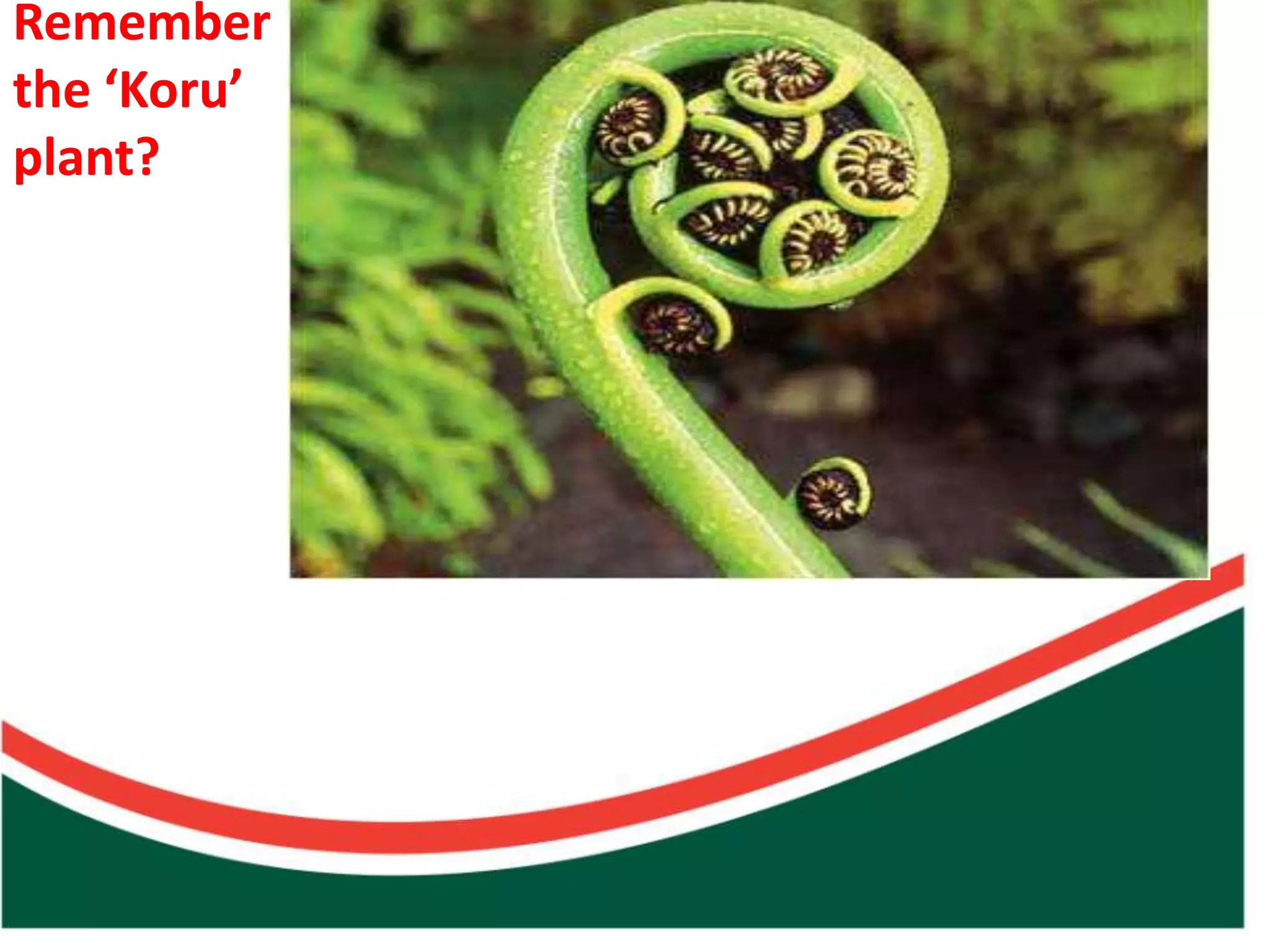 plant?
                                                                the ‘Koru’
                                                                Remember




Count on from one number to find the total of two collections
 
