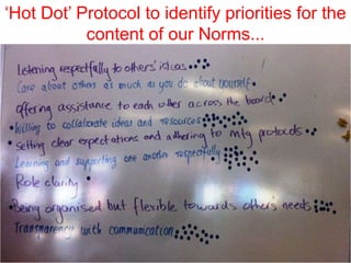 ‘Hot Dot’ Protocol to identify priorities for the
           content of our Norms...
 