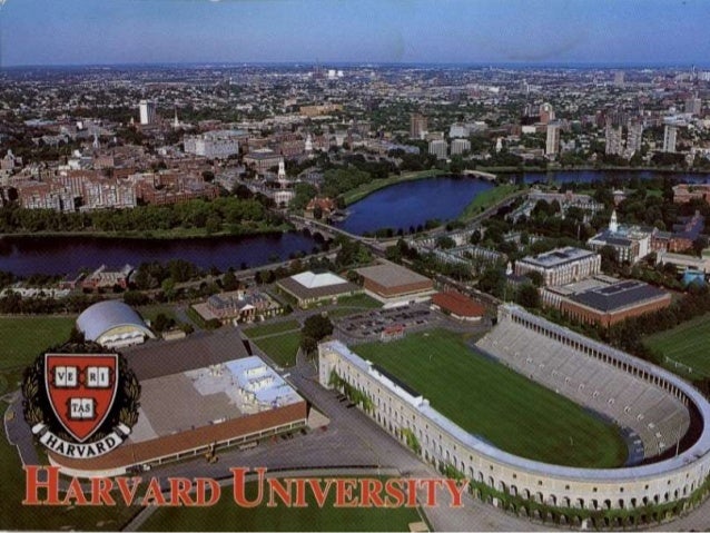 Image result for harvard university