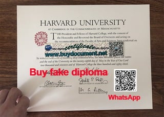 Harvard University diploma