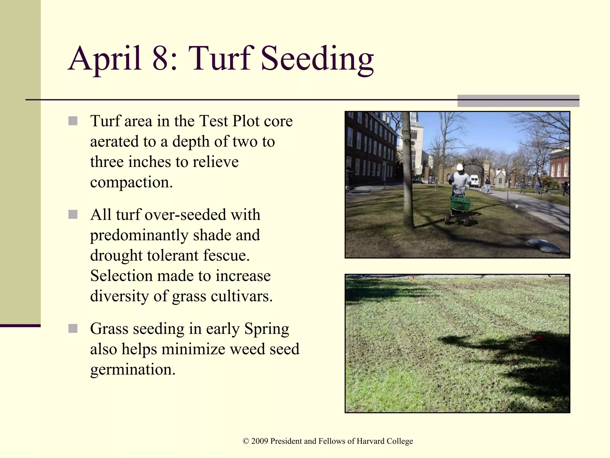 April 8: Turf Seeding
 Turf area in the Test Plot core
 aerated to a depth of two to
 three inches to relieve
 compaction.
 All turf over-seeded with
 predominantly shade and
 drought tolerant fescue.
 Selection made to increase
 diversity of grass cultivars.
 Grass seeding in early Spring
 also helps minimize weed seed
 germination.



                         © 2009 President and Fellows of Harvard College
 