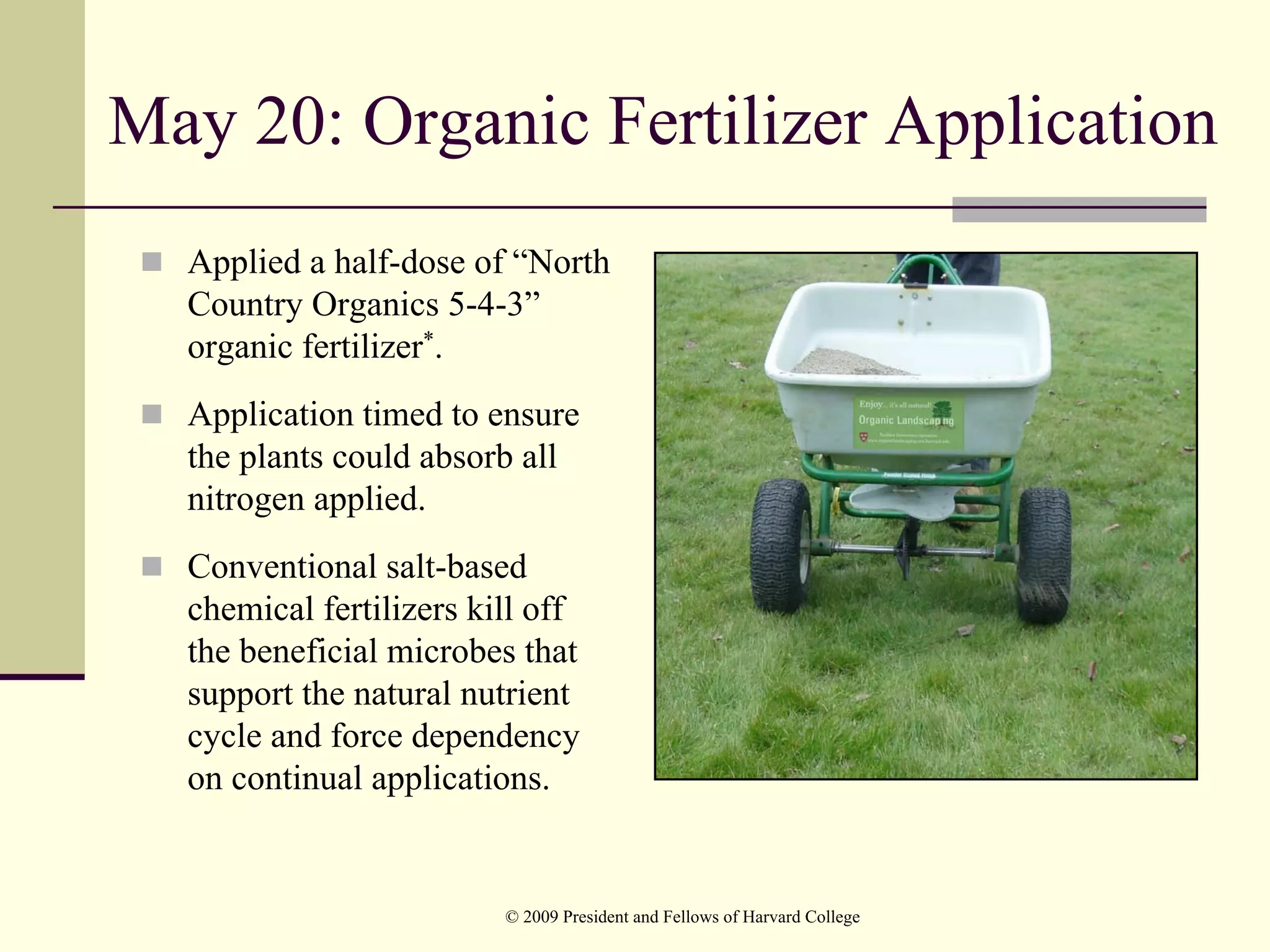 May 20: Organic Fertilizer Application
  Applied a half-dose of “North
  Country Organics 5-4-3”
  organic fertilizer*.
  Application timed to ensure
  the plants could absorb all
  nitrogen applied.
  Conventional salt-based
  chemical fertilizers kill off
  the beneficial microbes that
  support the natural nutrient
  cycle and force dependency
  on continual applications.


                         © 2009 President and Fellows of Harvard College
 