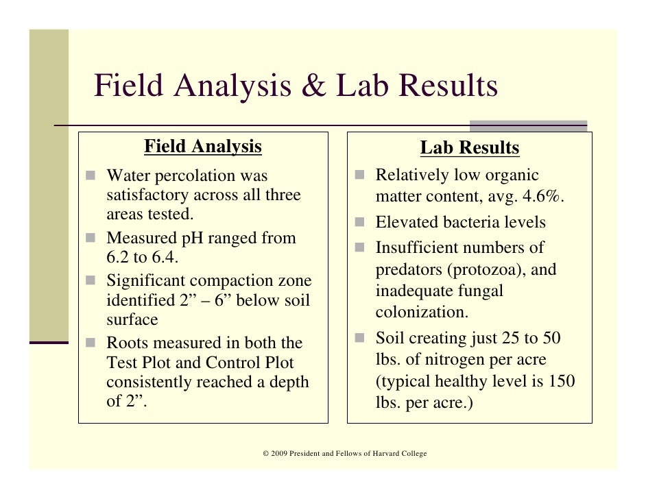 Buy lab reports online