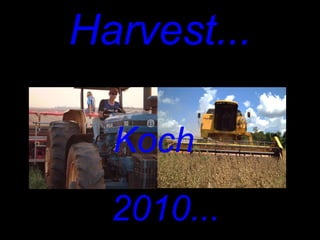 Harvest... ,[object Object],Koch 