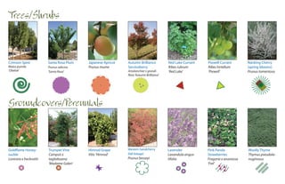 Trees/Shrubs



Crimson Spire           Santa Rosa Plum   Japanese Apricot   Autumn Brilliance           Red Lake Currant   Pixwell Currant       Nanking Cherry
Malus pumila            Prunus salicina   Prunus mume        Serviceberry                Ribes rubrum       Ribes hirtellum       (spring blooms)
‘Obelisk’               ‘Santa Rosa’                         Amelanchier x grandi-       ‘Red Lake’         ‘Pixwell’             Prunus tomentosa
                                                             flora ‘Autumn Brilliance’




Groundcovers/Perennials



Goldflame Honey-        Trumpet Vine      Himrod Grape       Western Sandcherry          Lavender           Pink Panda            Woolly Thyme
suckle                  Campsis x         Vitis ‘Himrod’     (fall foliage)              Lavandula angus-   Strawberries          Thymus pseudola-
Lonicera x heckrottii   tagliabuana                          Prunus besseyi              tifolia            Fragaria x ananassa   nuginosus
                        ‘Madame Galen’                                                                      ‘Frel’
 