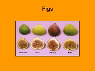 Figs 
