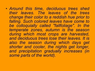 Around this time, deciduous trees shed their leaves. The leaves of the trees change their color to a reddish hue prior to falling. Such colored leaves have come to be colloquially called "fallfoliage". In the temperate zones, autumn is the season during which most crops are harvested, and deciduous trees lose their leaves. It is also the season during which days get shorter and cooler, the nights get longer, and precipitation gradually increases (in some parts of the world). 