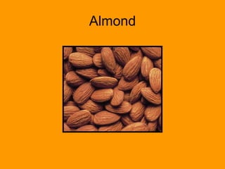 Almond 