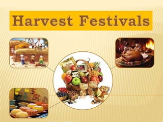 Harvest Festivals 