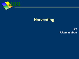 Harvesting By P.Ramasubbu 