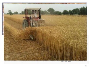 Advantages of using harvesters
1. Labour requirement is reduced
2. Large area can be harvested in shorter time. Saving in time
3. The availability of a harvest in a locality supports labour force to complete larger
area. Hence timely harvest is possible.
4. Economical
5. Frees the land early for ploughing for the next crop
45
 