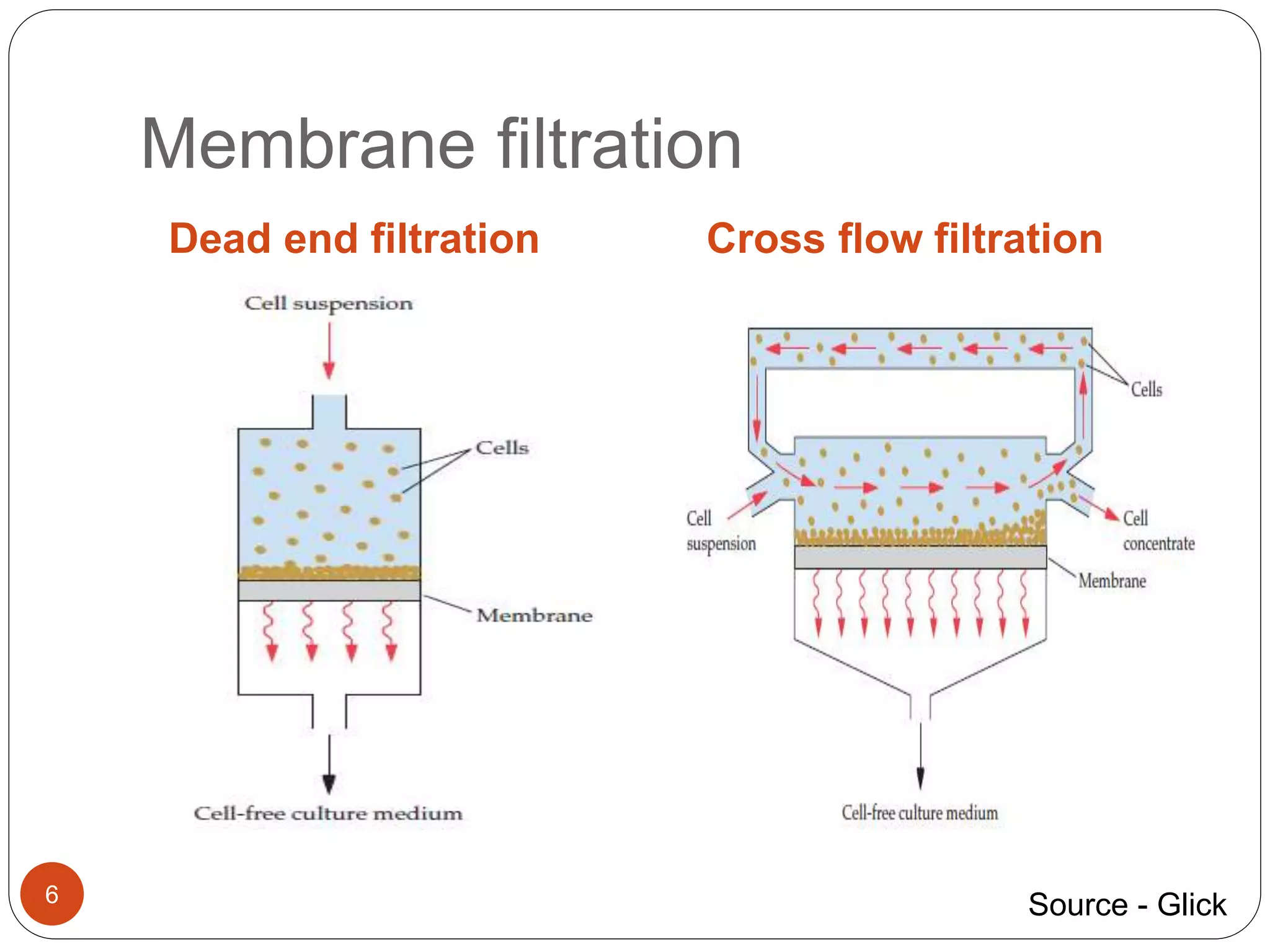 Membrane filtration
Dead end filtration Cross flow filtration
6 Source - Glick
 