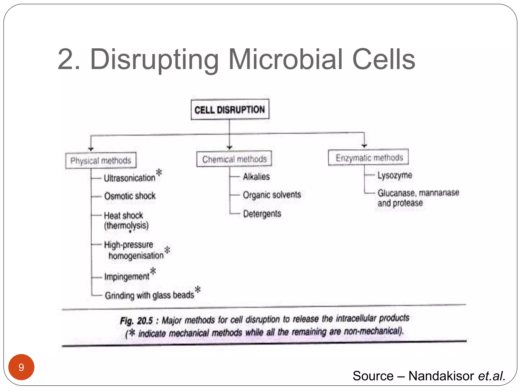 2. Disrupting Microbial Cells
9
Source – Nandakisor et.al.
 