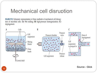 Mechanical cell disruption
10
Source - Glick
 