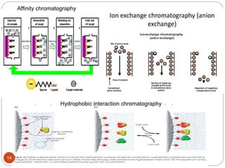 Affinity chromatography
Hydrophobic interaction chromatography
14
 