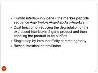 24
 Human interleukin-2 gene - the marker peptide
sequence Asp-Tyr-Lys-Asp-Asp-Asp-Asp-Lys
 Dual function of reducing the degradation of the
expressed interleukin-2 gene product and then
enabling the product to be purified.
 Single step by immunoaffinity chromatography
 Bovine intestinal enterokinase
 