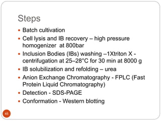 Steps
45
 Batch cultivation
 Cell lysis and IB recovery – high pressure
homogenizer at 800bar
 Inclusion Bodies (IBs) washing –1Xtriton X -
centrifugation at 25–28°C for 30 min at 8000 g
 IB solubilization and refolding – urea
 Anion Exchange Chromatography - FPLC (Fast
Protein Liquid Chromatography)
 Detection - SDS-PAGE
 Conformation - Western blotting
 