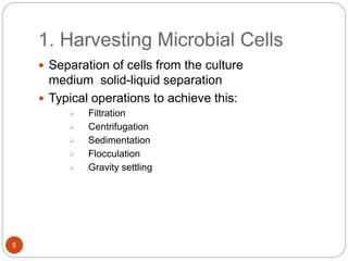 1. Harvesting Microbial Cells
5
 Separation of cells from the culture
medium solid-liquid separation
 Typical operations to achieve this:
 Filtration
 Centrifugation
 Sedimentation
 Flocculation
 Gravity settling
 