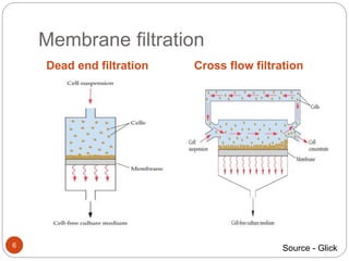 Membrane filtration
Dead end filtration Cross flow filtration
6 Source - Glick
 