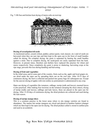 Harvesting and post harvesting Management of Food Crops: Notes
2012
Fig. 7.10b Sun and kitchen heat drying of maize cobs on root-top
Drying of cereal/pulses/oil seeds
As mentioned earlier, cereals (wheat, paddy), pulses (gram, wad, masoor, etc.) and oil seeds are
harvested when they are just ripe and then kept in the open sun in tile form of small bundles
called for drying. On complete drying; the grain is separated by beating the small bundles
against a stone. Due to complete drying, the seeds/grain are easily separated from the husk.
However, in present times, threshers and shellers have replaced this practice for wheat and
maize respectively. Since completely dry grain is prone to shattering, harvesting crops at the
ripe stage, prevents this loss during handling and harvesting.
Drying of fruit and vegetables
In the tribal areas and in some part of the country, fruits such as the, apple and local grapes etc.
are dried under the open sun by spreading them out on the roof tops. After 10-15 days of
continuous drying, the fruit is collected and packed into gunny bags for subsequent use. Except
for the uneven slicing of apples with iron sickles no pretreatment is administered to any crop.
Open sun drying of vegetables like tomatoes, cabbage, turnip (stalk and leaves), mustard leaves
is also practiced. After making four incisions on the tomatoes (keeping the slices intact), slicing
of turnip (stalks and leaves), cabbage and kale leaves, these are placed in the open sun for
drying. After 15-20 days of continuous drying, the dried products are collected and used during
the lean season.
Drying of unripe mango slices
This is a common practice in the lower areas where in situ mango varieties are found in
abundance. The mature but unripe mangoes are sliced and placed in bamboo baskets (changer
which are then kept in the open sun for drying. The dried product called is stored in earthen pots
and used as an acidulent.
By: Bon Ben Yidiga Mwasaka 2012
11
 