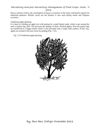 Harvesting and post harvesting Management of Food Crops: Notes
2012
Due to extreme winters, the consumption of liquor is extensive in the entire cold dessert regions for
medicinal purposes. Besides social use the product is also used during rituals and religious
occasions.
Traditional apple plucking
It is done by climbing an apple tree with putting by a small basket made, which is put around the
neck of gunny bag cloth. This prevents the damage of fruits. Plucked apples, from the gunny bags
are transferred to a bigger basket which is also provided with a rough cloth cushion. In this way,
apples are carried to the store room for grading (Fig. 7.16).
Fig. 7.16 Traditional apple plucking
By: Bon Ben Yidiga Mwasaka 2012
18
 