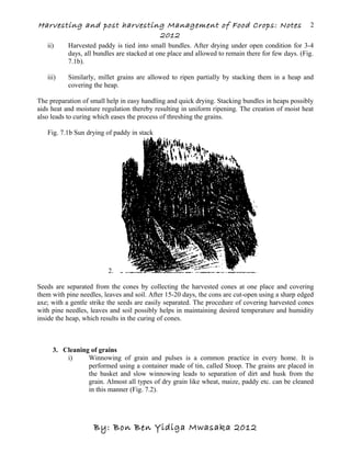 Harvesting and post harvesting Management of Food Crops: Notes
2012
ii) Harvested paddy is tied into small bundles. After drying under open condition for 3-4
days, all bundles are stacked at one place and allowed to remain there for few days. (Fig.
7.1b).
iii) Similarly, millet grains are allowed to ripen partially by stacking them in a heap and
covering the heap.
The preparation of small help in easy handling and quick drying. Stacking bundles in heaps possibly
aids heat and moisture regulation thereby resulting in uniform ripening. The creation of moist heat
also leads to curing which eases the process of threshing the grains.
Fig. 7.1b Sun drying of paddy in stack
2.
Seeds are separated from the cones by collecting the harvested cones at one place and covering
them with pine needles, leaves and soil. After 15-20 days, the cons are cut-open using a sharp edged
axe; with a gentle strike the seeds are easily separated. The procedure of covering harvested cones
with pine needles, leaves and soil possibly helps in maintaining desired temperature and humidity
inside the heap, which results in the curing of cones.
3. Cleaning of grains
i) Winnowing of grain and pulses is a common practice in every home. It is
performed using a container made of tin, called Stoop. The grains are placed in
the basket and slow winnowing leads to separation of dirt and husk from the
grain. Almost all types of dry grain like wheat, maize, paddy etc. can be cleaned
in this manner (Fig. 7.2).
By: Bon Ben Yidiga Mwasaka 2012
2
 