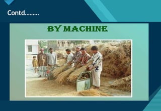 Click to edit Master title style
28
Contd………
 