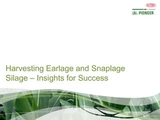 Harvesting Earlage and Snaplage
Silage – Insights for Success
 