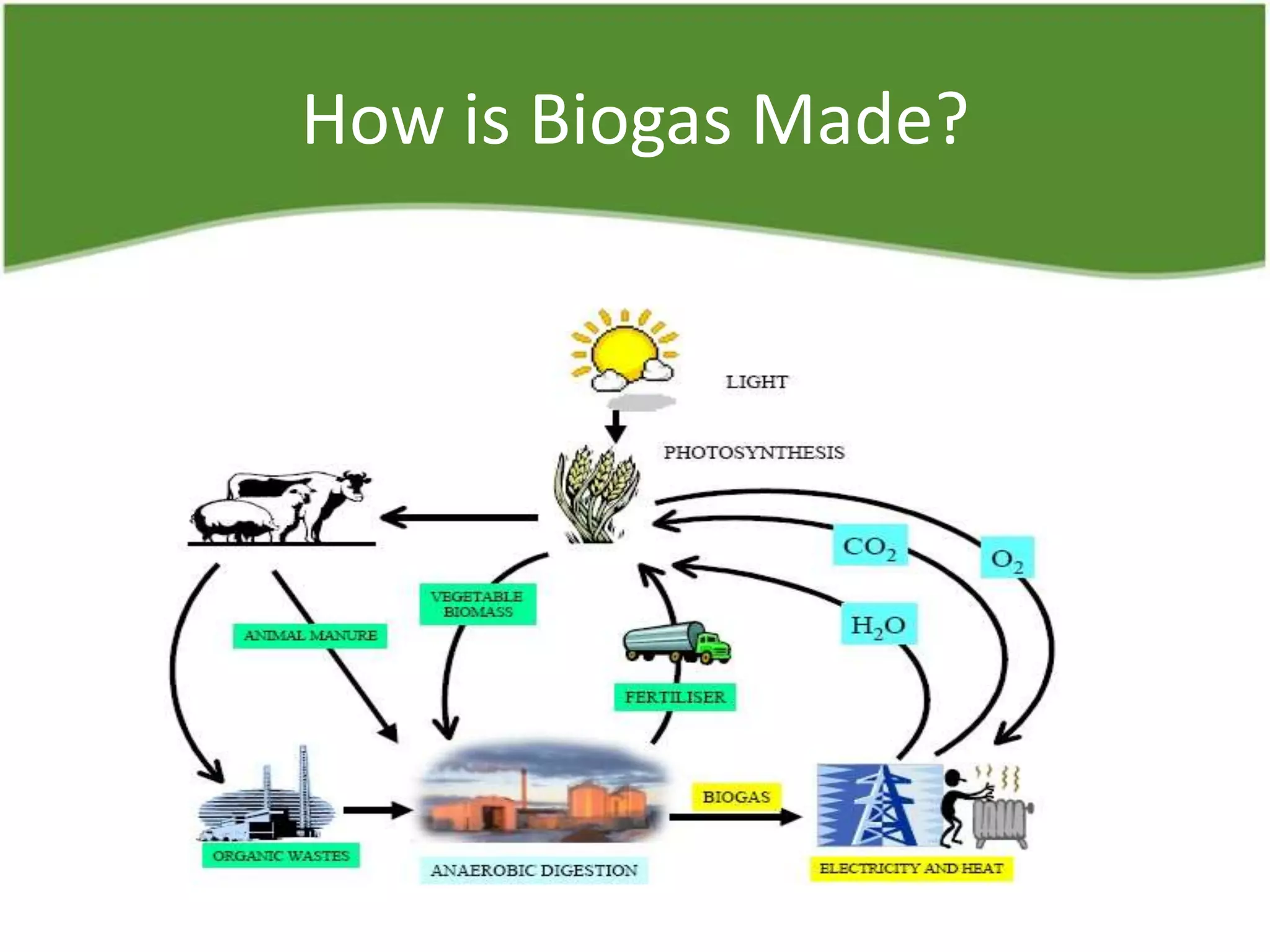 How is Biogas Made?
 