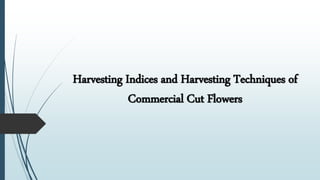 Harvesting Indices and Harvesting Techniques of
Commercial Cut Flowers
 