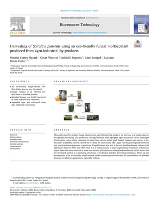 Bioresource Technology 322 (2021) 124525
Available online 10 December 2020
0960-8524/© 2020 Elsevier Ltd. This article is made available under the Elsevier license (http://www.elsevier.com/open-access/userlicense/1.0/).
Harvesting of Spirulina platensis using an eco-friendly fungal bioflocculant
produced from agro-industrial by-products
Mateus Torres Nazari a
, César Vinicius Toniciolli Rigueto b
, Alan Rempel a
, Luciane
Maria Colla a,b,*
a
Postgraduate Program in Civil and Environmental Engineering (PPGEng), Faculty of Engineering and Architecture (FEAR), University of Passo Fundo (UPF), Passo
Fundo, RS, Brazil
b
Postgraduate Program in Food Science and Technology (PPGCTA), Faculty of Agronomy and Veterinary Medicine (FAMV), University of Passo Fundo (UPF), Passo
Fundo RS, Brazil
H I G H L I G H T S G R A P H I C A L A B S T R A C T
• An eco-friendly fungal-assisted bio­
flocculation process was developed.
• Fungal biomass is an efficient bio­
flocculant of Spirulina platensis.
• Spirulina biomass was totally harvested
in some experimental conditions.
• Aspergillus niger was cultivated using
agro-industrial by-products.
A R T I C L E I N F O
Keywords:
Bioflocculation
Aspergillus niger
Submerged fermentation
Spirulina platensis
Cyanobacteria
Sustainability
A B S T R A C T
This study aimed to produce fungal biomass from agro-industrial by-products for later use as a bioflocculant in
the Spirulina harvesting. The production of fungal biomass from Aspergillus niger was carried out in submerged
fermentation, using media composed of wheat bran and/or potato peel. Fungal biomass was used as a bio­
flocculant in Spirulina cultures carried out in closed 5 L reactors and 180 L open raceway pond operated in batch
and semi-continuous processes, respectively. Fungal biomass was able to harvest Spirulina platensis cultures with
efficiencies between 90% and 100% after 2 h of sedimentation in some experimental conditions. Efficiencies
higher than 80% were achieved in most tests without pH adjustment during bioflocculations, which shows that
the developed method is a promising alternative to traditional Spirulina harvesting techniques. Above all, the
development of an eco-friendly fungal-assisted bioflocculation process increases the sustainability of Spirulina
biomass for different applications, especially biofuels.
* Corresponding author at: Postgraduate Program in Civil and Environmental Engineering (PPGEng), Faculty of Engineering and Architecture (FEAR), University of
Passo Fundo (UPF), Passo Fundo, RS, Brazil.
E-mail address: lmcolla@upf.br (L.M. Colla).
Contents lists available at ScienceDirect
Bioresource Technology
journal homepage: www.elsevier.com/locate/biortech
https://doi.org/10.1016/j.biortech.2020.124525
Received 24 October 2020; Received in revised form 3 December 2020; Accepted 5 December 2020
 
