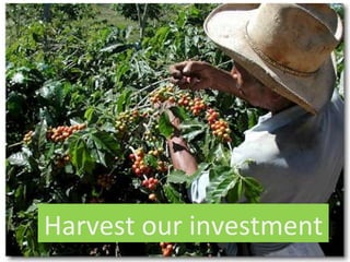 Harvest our investment
 
