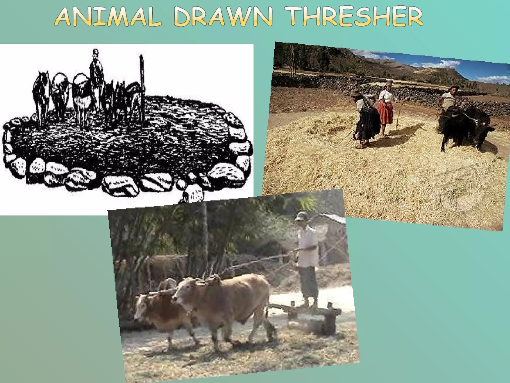 Harvesting and threshing equipment | PPT