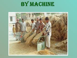 Harvesting and threshing equipment | PPT