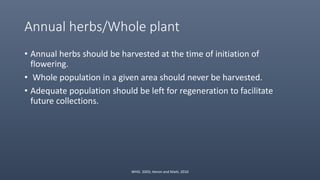 Annual herbs/Whole plant
• Annual herbs should be harvested at the time of initiation of
flowering.
• Whole population in a given area should never be harvested.
• Adequate population should be left for regeneration to facilitate
future collections.
WHO. 2003; Heron and Maiti, 2010
 