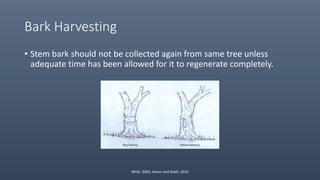 Bark Harvesting
• Stem bark should not be collected again from same tree unless
adequate time has been allowed for it to regenerate completely.
WHO. 2003; Heron and Maiti, 2010
 