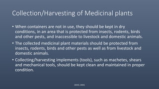 Collection/Harvesting of Medicinal plants
• When containers are not in use, they should be kept in dry
conditions, in an area that is protected from insects, rodents, birds
and other pests, and inaccessible to livestock and domestic animals.
• The collected medicinal plant materials should be protected from
insects, rodents, birds and other pests as well as from livestock and
domestic animals.
• Collecting/harvesting implements (tools), such as machetes, shears
and mechanical tools, should be kept clean and maintained in proper
condition.
(WHO, 2003)
 