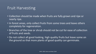 Fruit Harvesting
• Collection should be made when fruits are fully grown and ripe or
nearly ripe.
• In forest areas, only collect fruits from some trees and leave others
completely for regeneration.
• Branches of the tree or shrub should not be cut for ease of collection
of fruits and seeds.
• Do not collect all good looking, high quality fruits but leave some on
the ground so that more plants of good quality can germinate.
WHO. 2003; Heron and Maiti, 2010
 