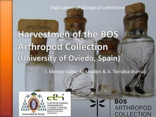 Digitisation of biological collections

I. Merino-Sáinz, A. Anadón & A. Torralba-Burrial

 