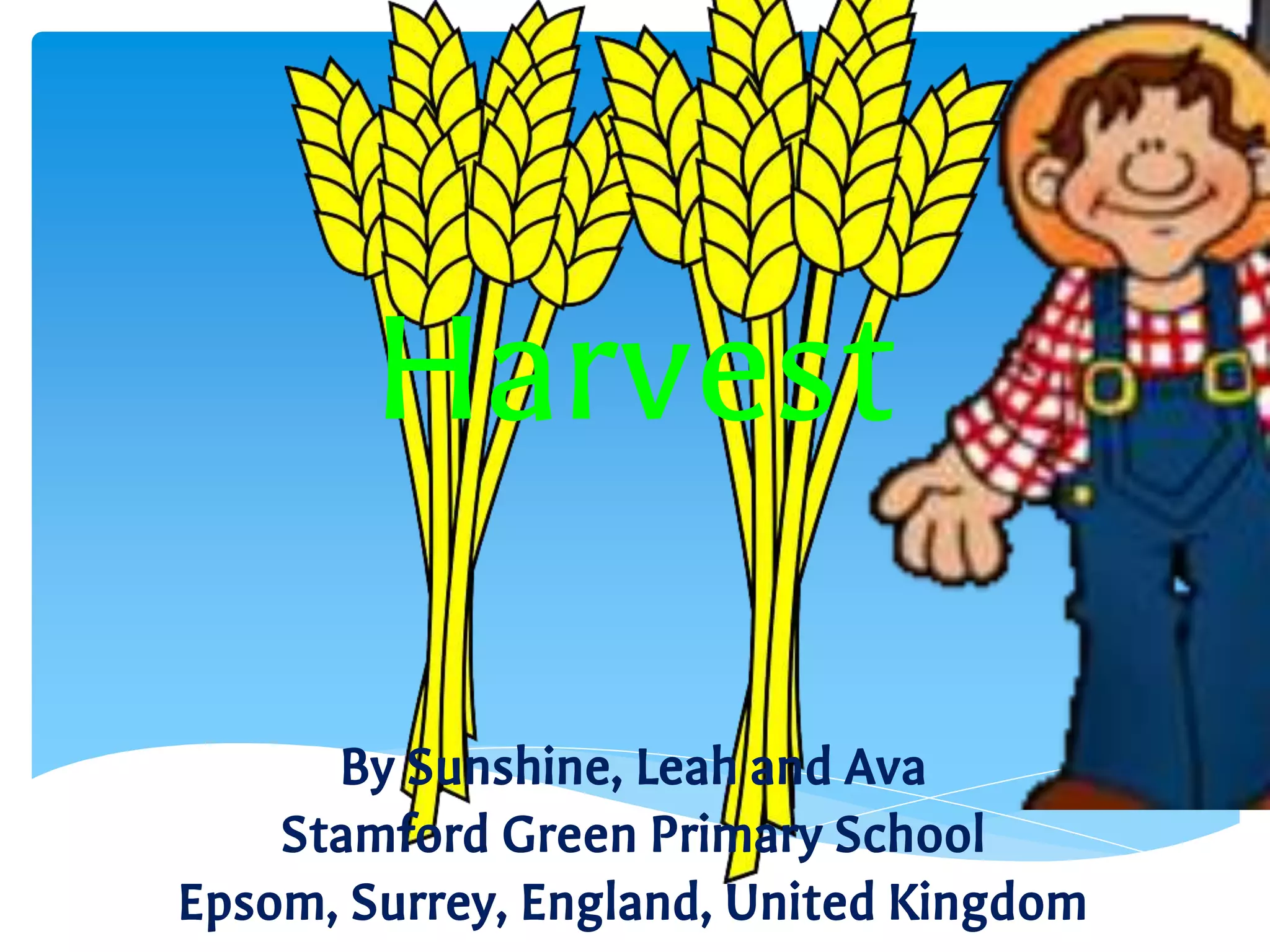 Harvest
By Sunshine, Leah and Ava
Stamford Green Primary School
Epsom, Surrey, England, United Kingdom