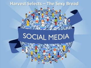Harvest Selects – The Sexy Bread

 